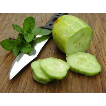 Cucumber  (24)-9962071-46948.webp